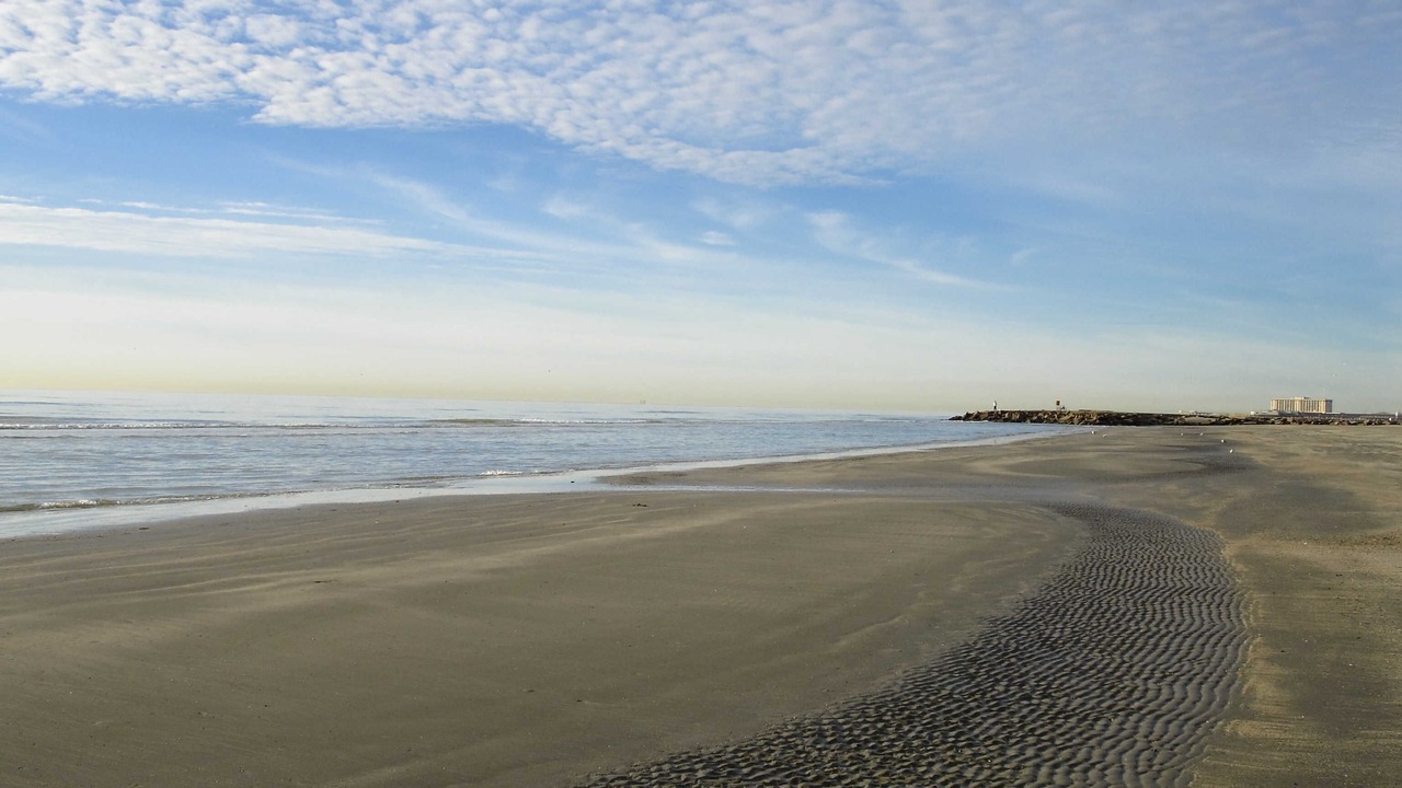 Photo of Others in Galveston