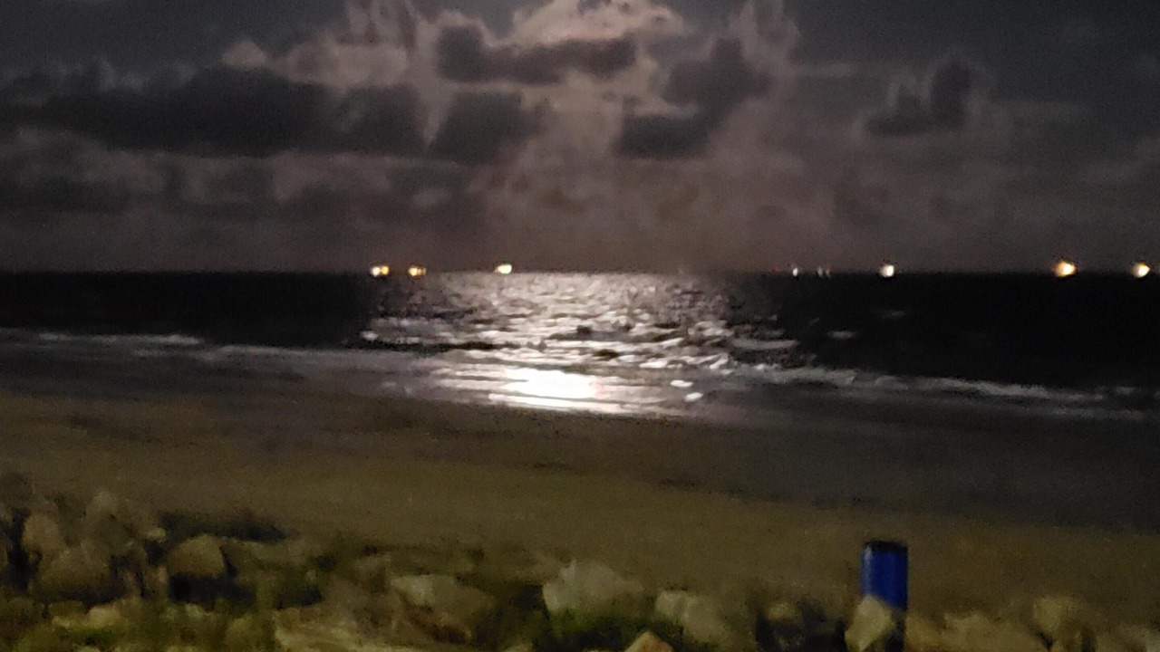 Photo of Others in Galveston