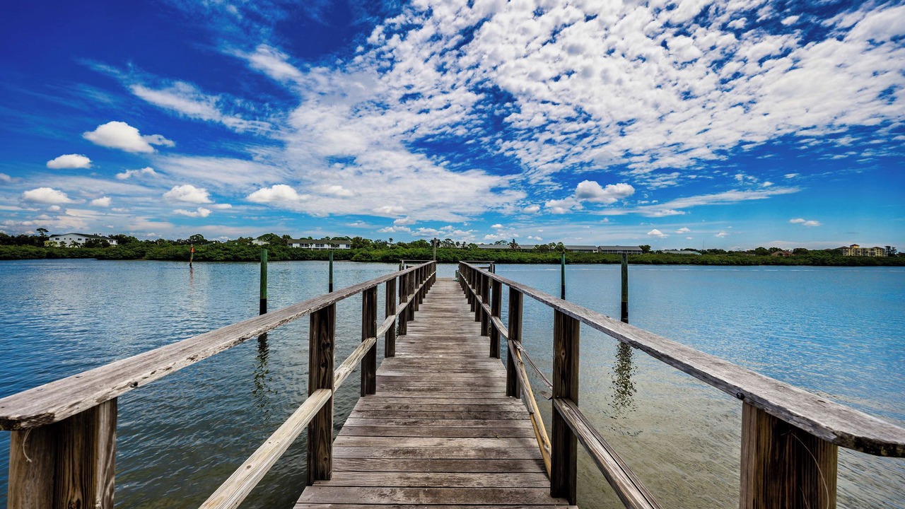 Photo of Outdoor in Indian Shores