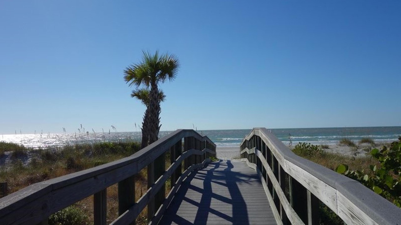 Photo of Others in Indian Shores