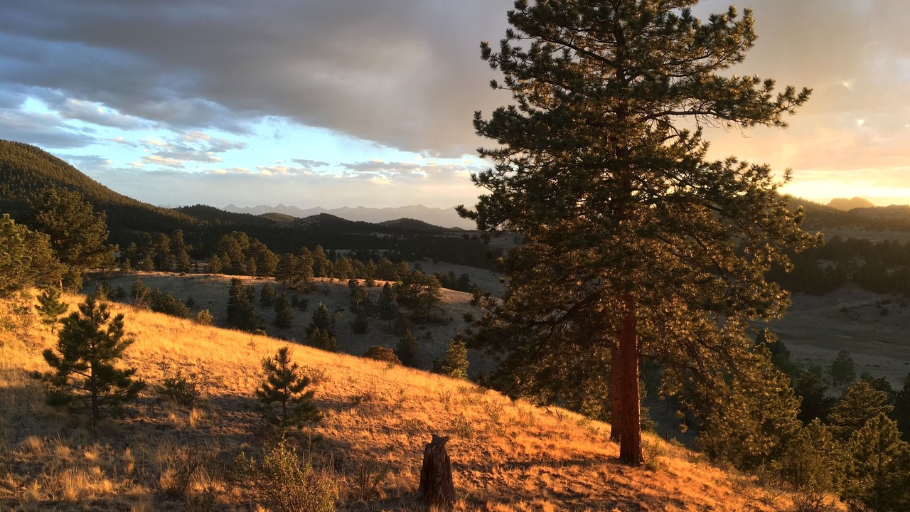 Photo of Outdoor in Westcliffe