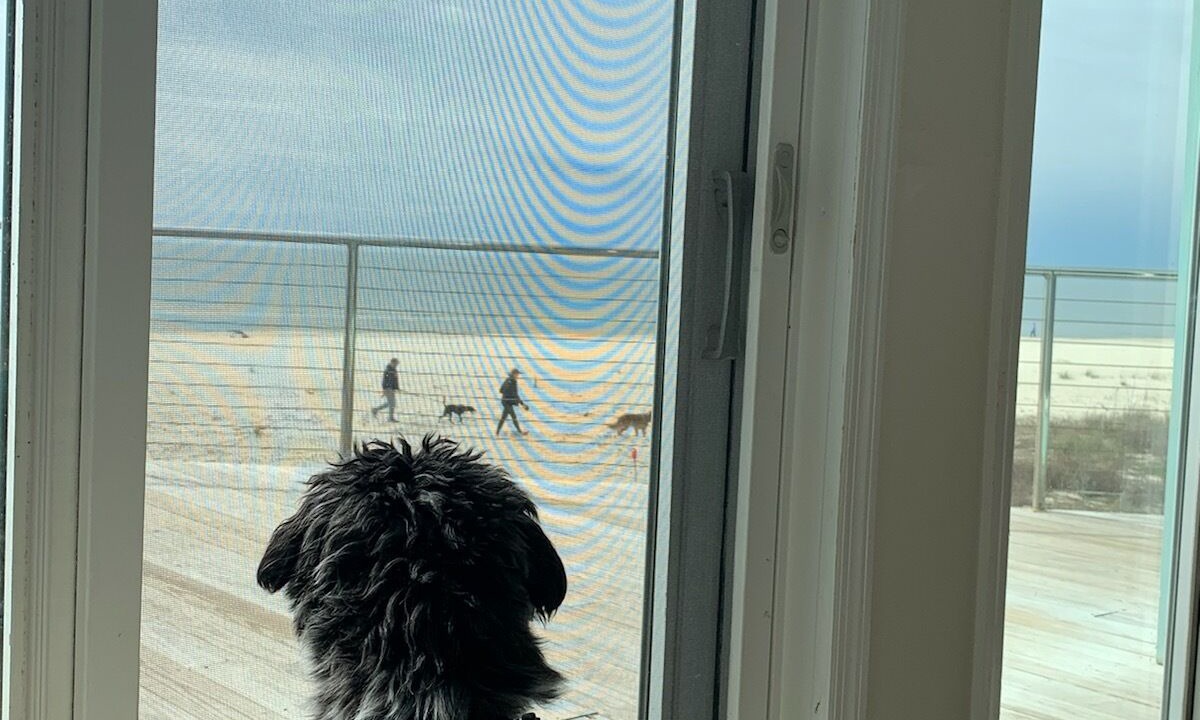 Photo of Others in Port St. Joe