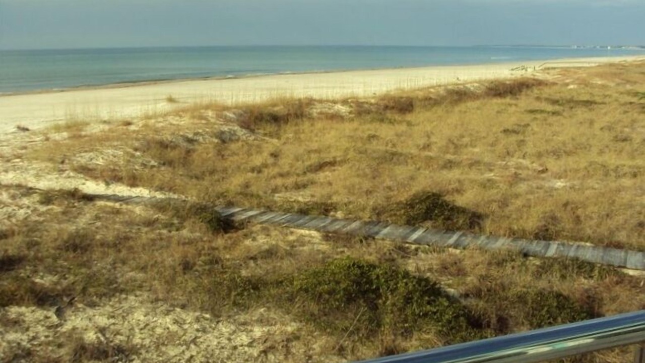 Photo of Others in Port St. Joe
