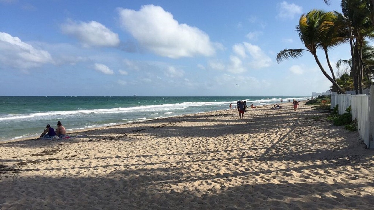 Photo of Others in Lauderdale Beach