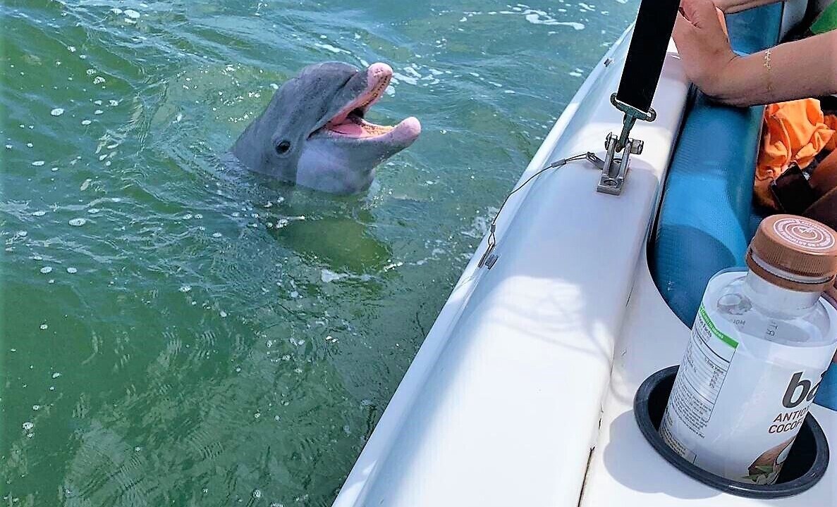 Photo of Others in Cape Coral