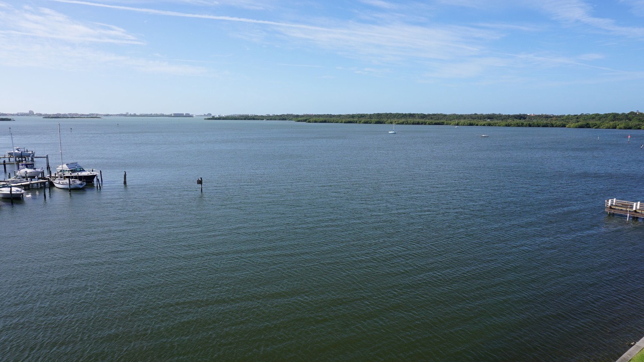 Photo of Others in St. Petersburg