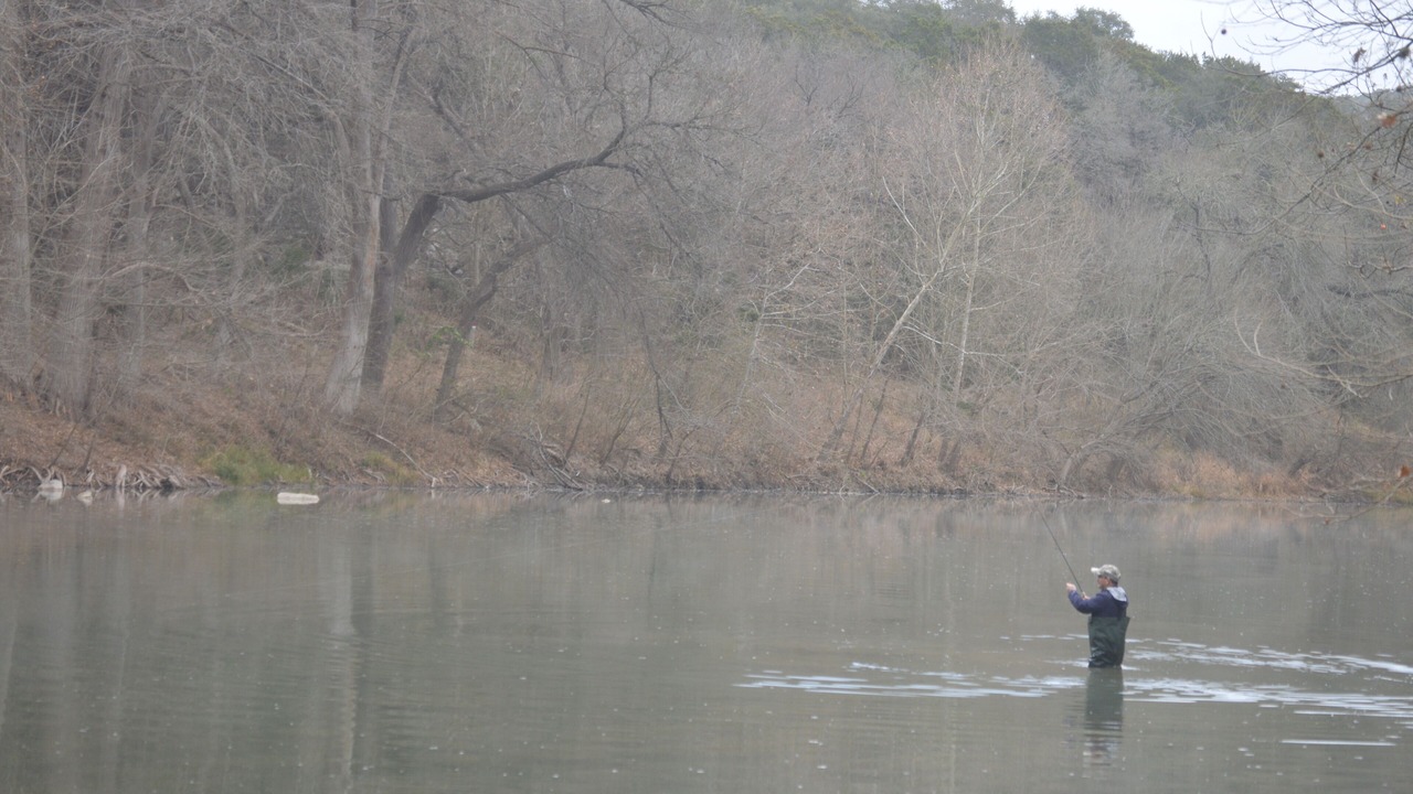 Photo of Others in New Braunfels