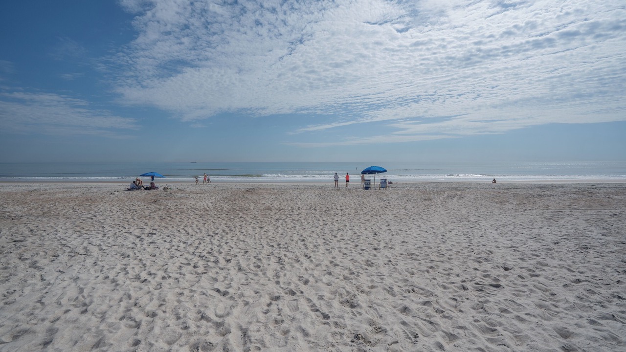 Photo of Others in Amelia City