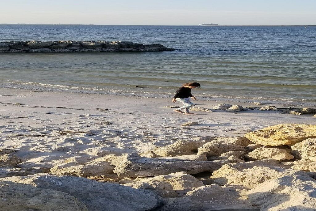 Photo of Others in Apollo Beach