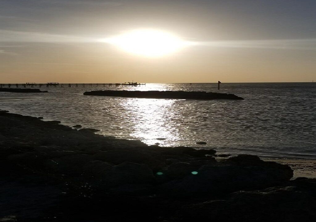 Photo of Others in Apollo Beach