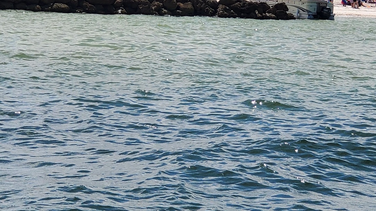 Photo of Others in Apollo Beach