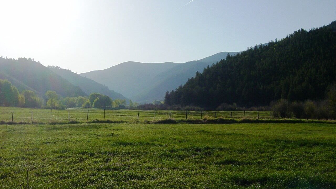 Photo of Others in Whitepine