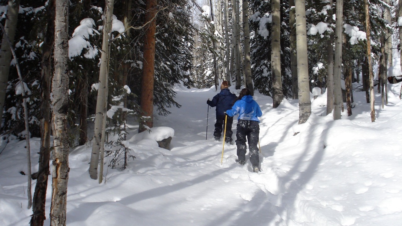Photo of Others in Whitepine