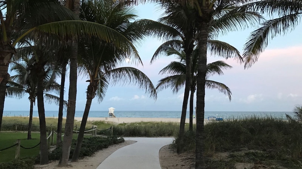Photo of Others in Pompano Beach