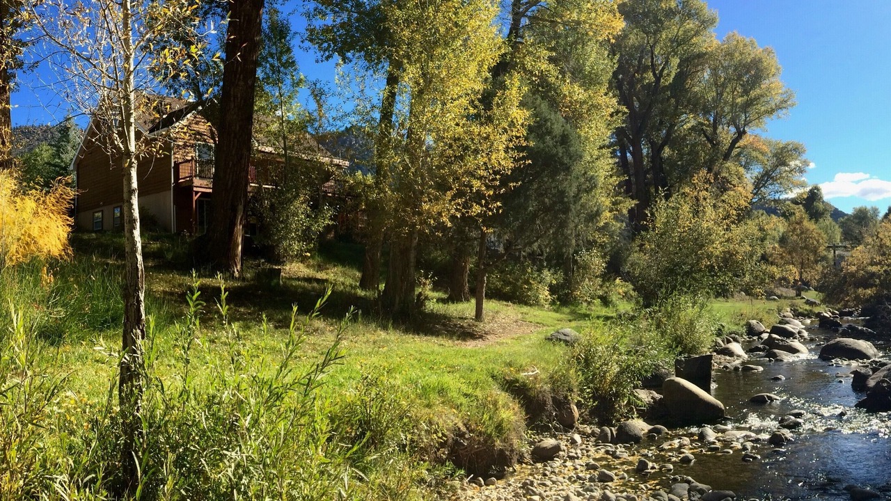 Photo of Others in Buena Vista