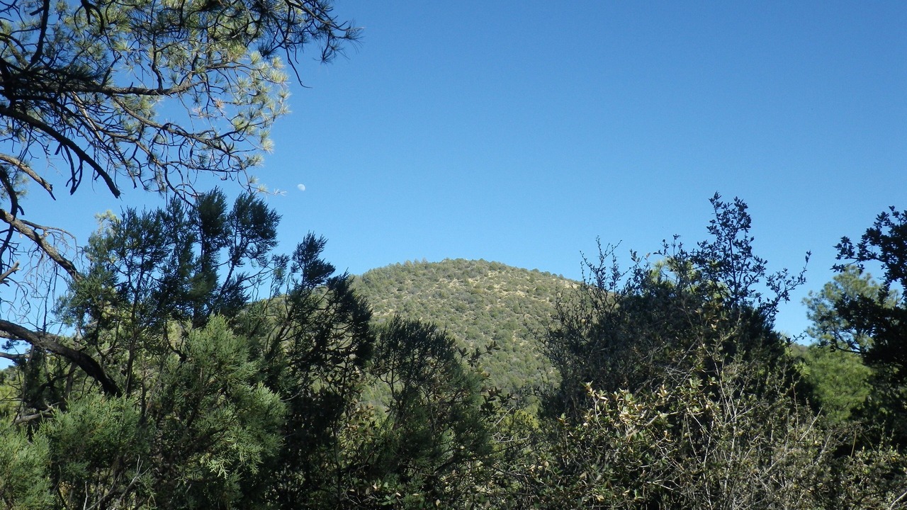 Photo of Others in Pinos Altos