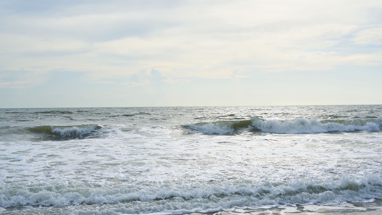 Photo of Others in Jacksonville Beach