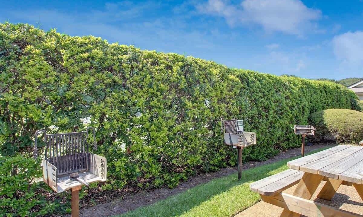 Photo of Outdoor in Amelia City