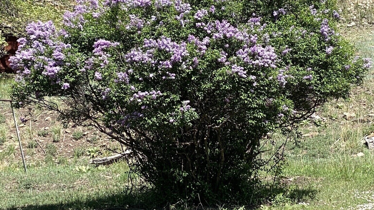 Photo of Outdoor in Tererro