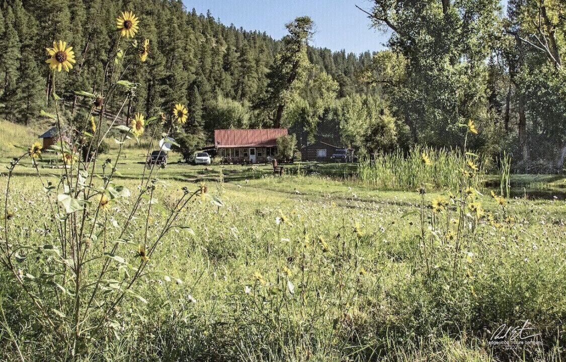 Photo of Outdoor in Tererro
