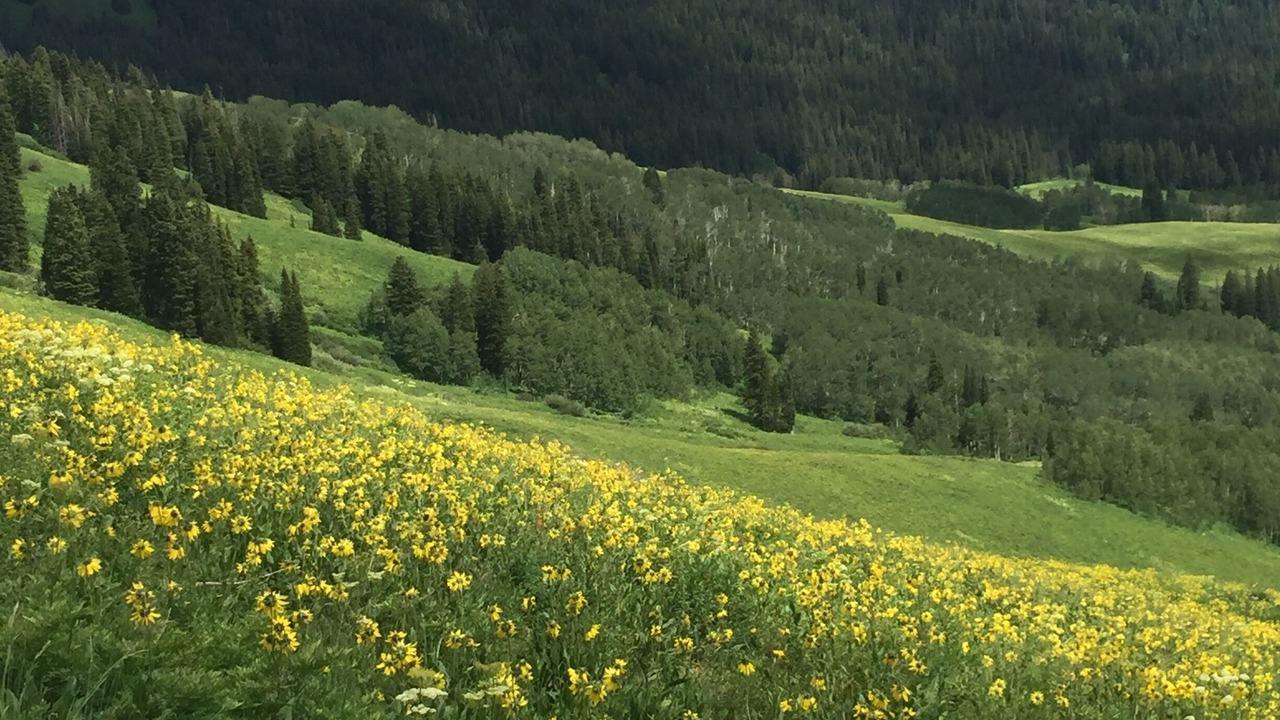 Photo of Outdoor in Crested Butte