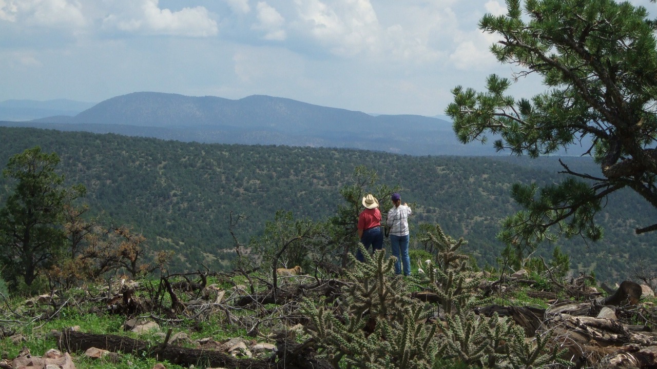 Photo of Others in Catron County