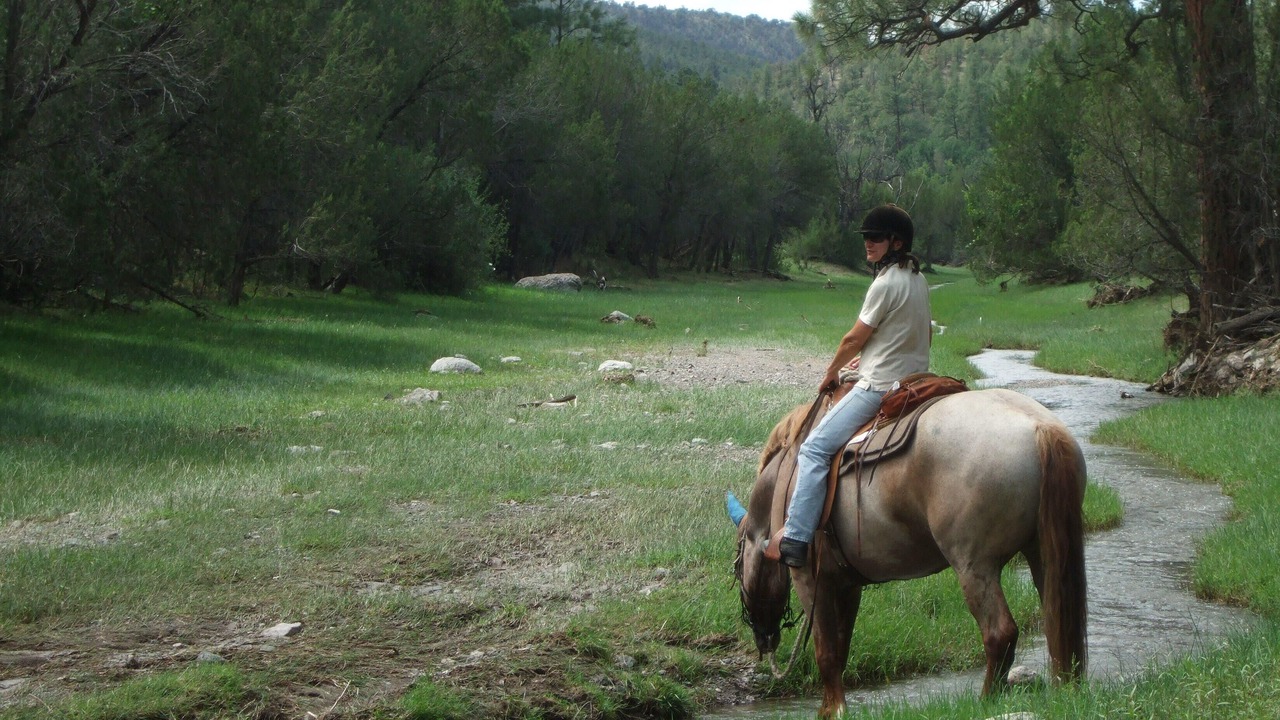 Photo of Others in Catron County