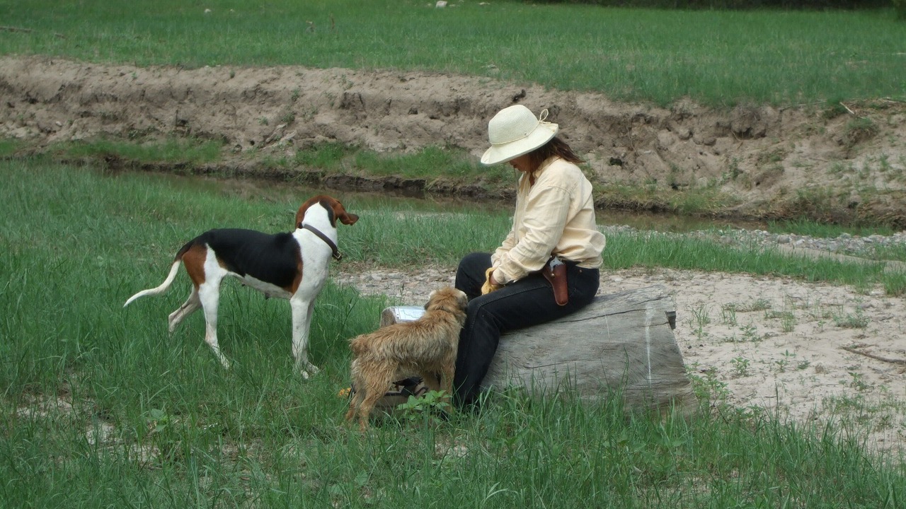 Photo of Others in Catron County
