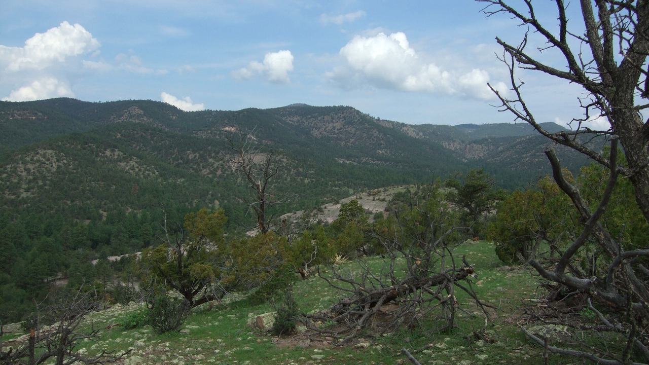 Photo of Outdoor in Catron County