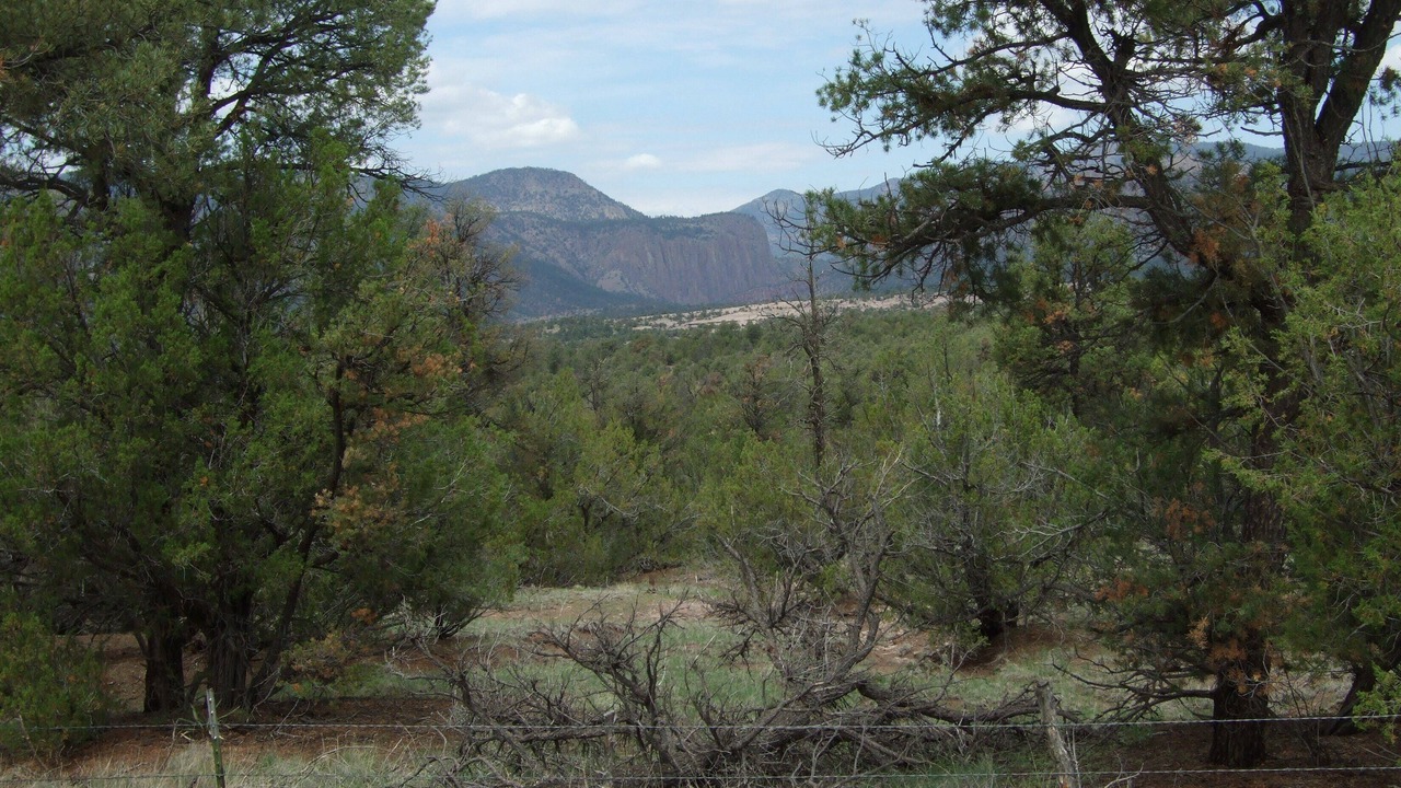 Photo of Outdoor in Catron County