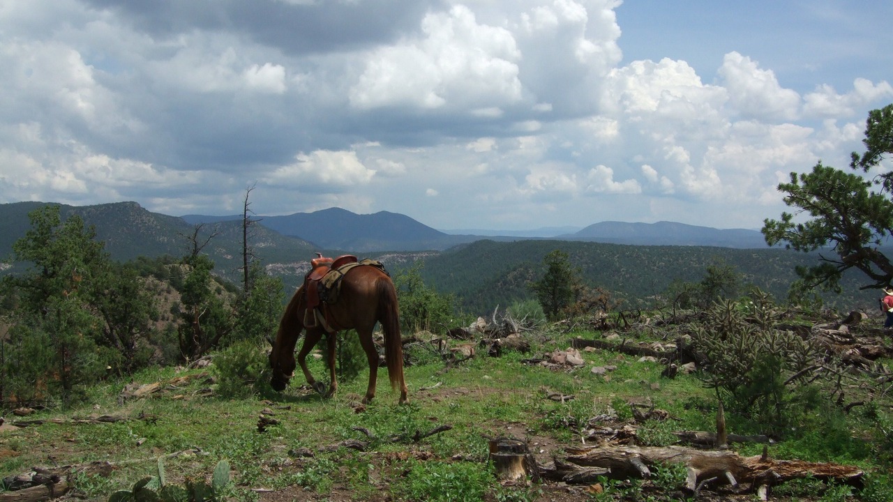 Photo of Outdoor in Catron County