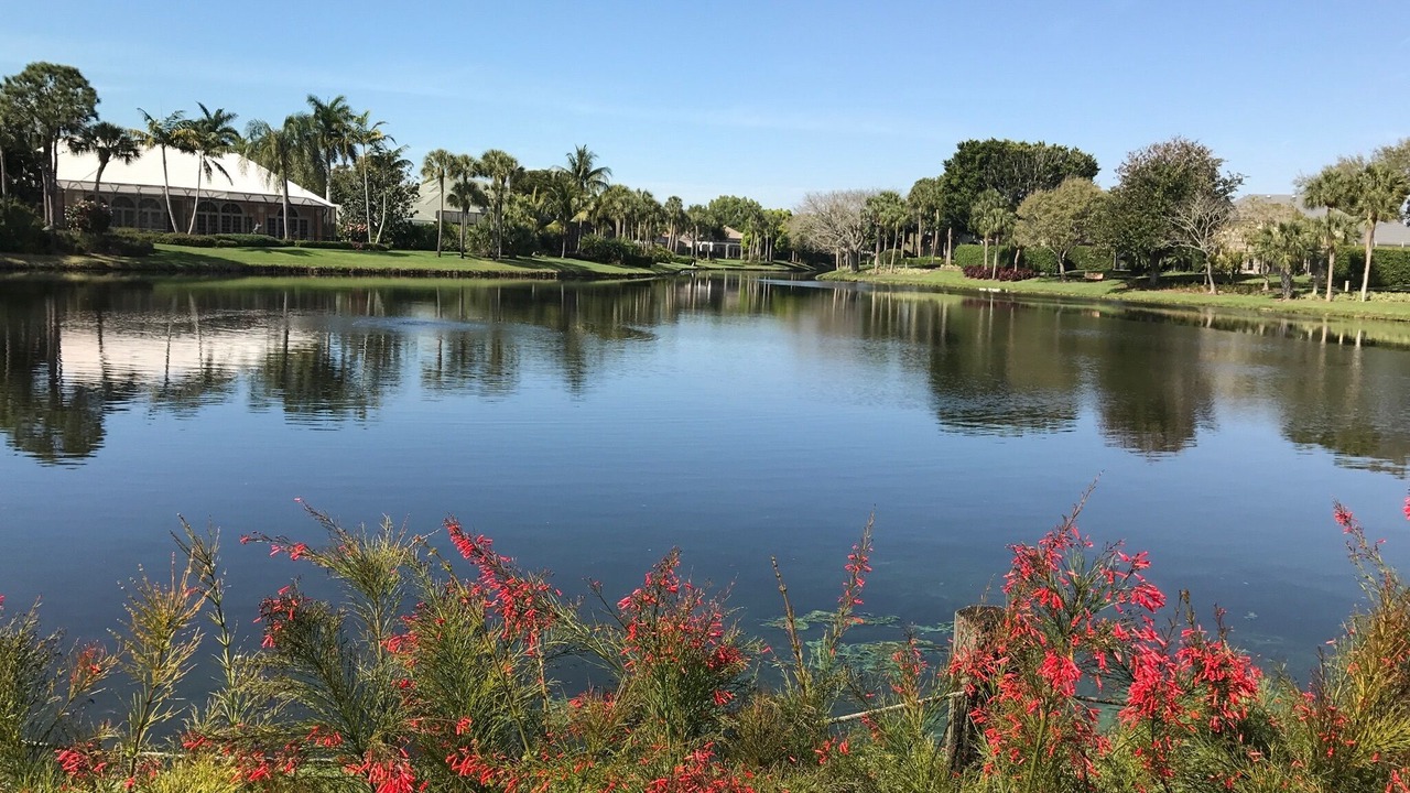 Photo of Outdoor in Pelican Bay
