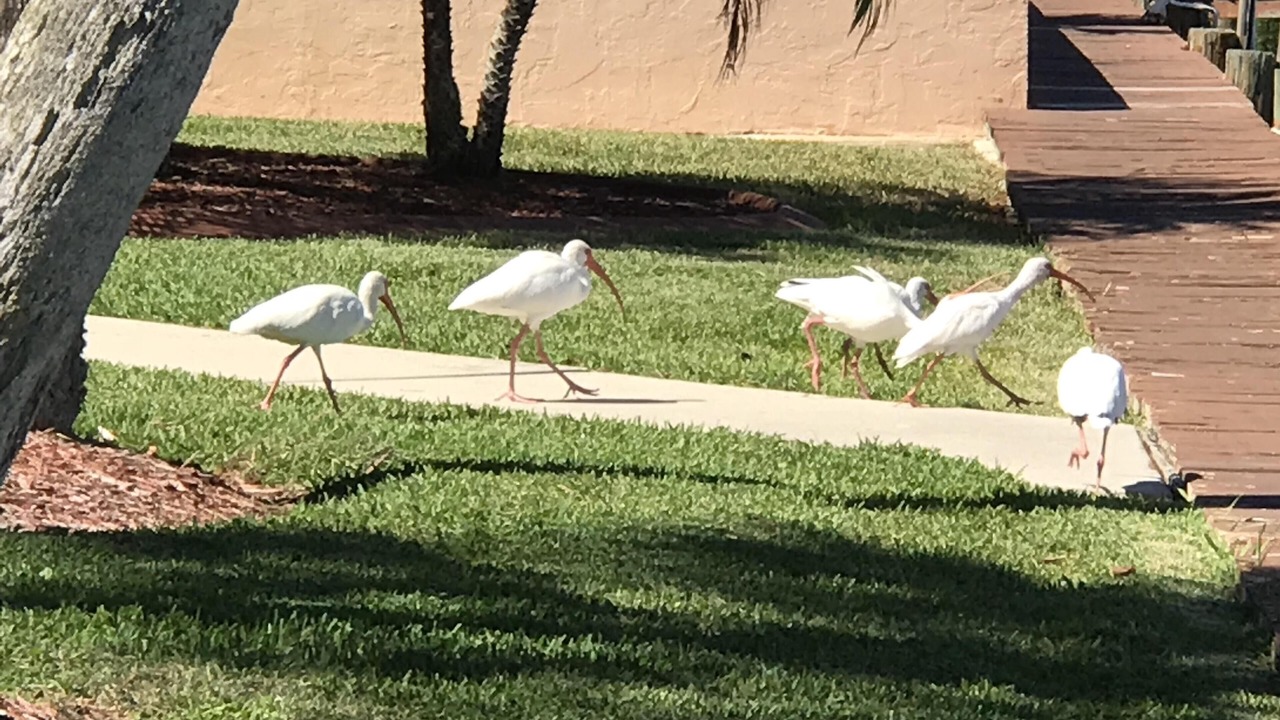 Photo of Others in Englewood