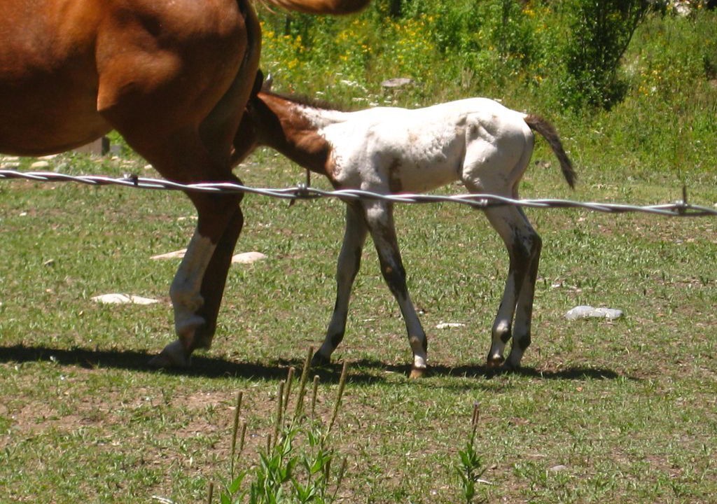 Photo of Outdoor in Tererro