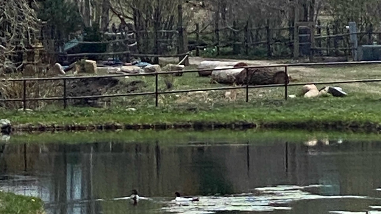 Photo of Outdoor in Tererro