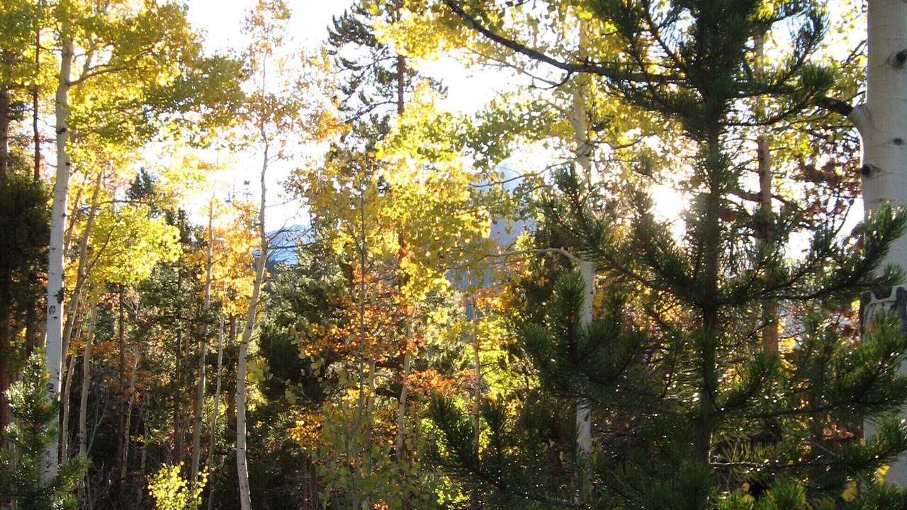 Photo of Outdoor in Buena Vista