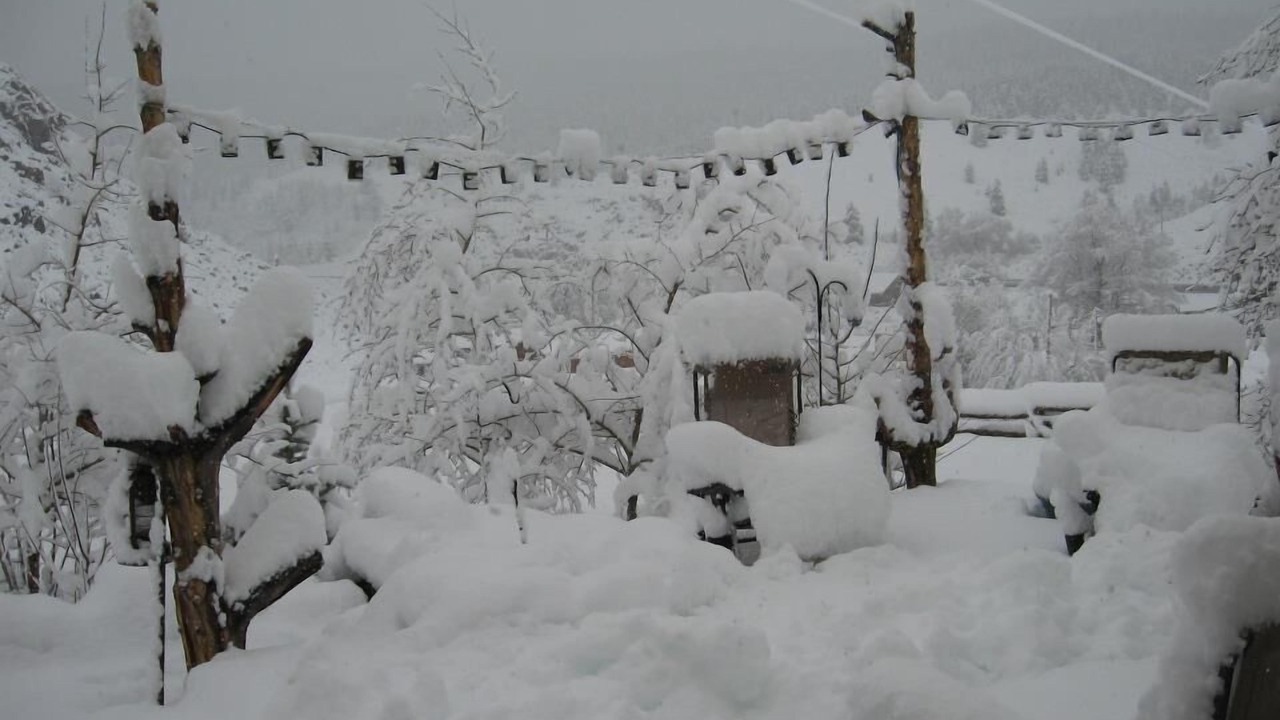 Photo of Others in Buena Vista
