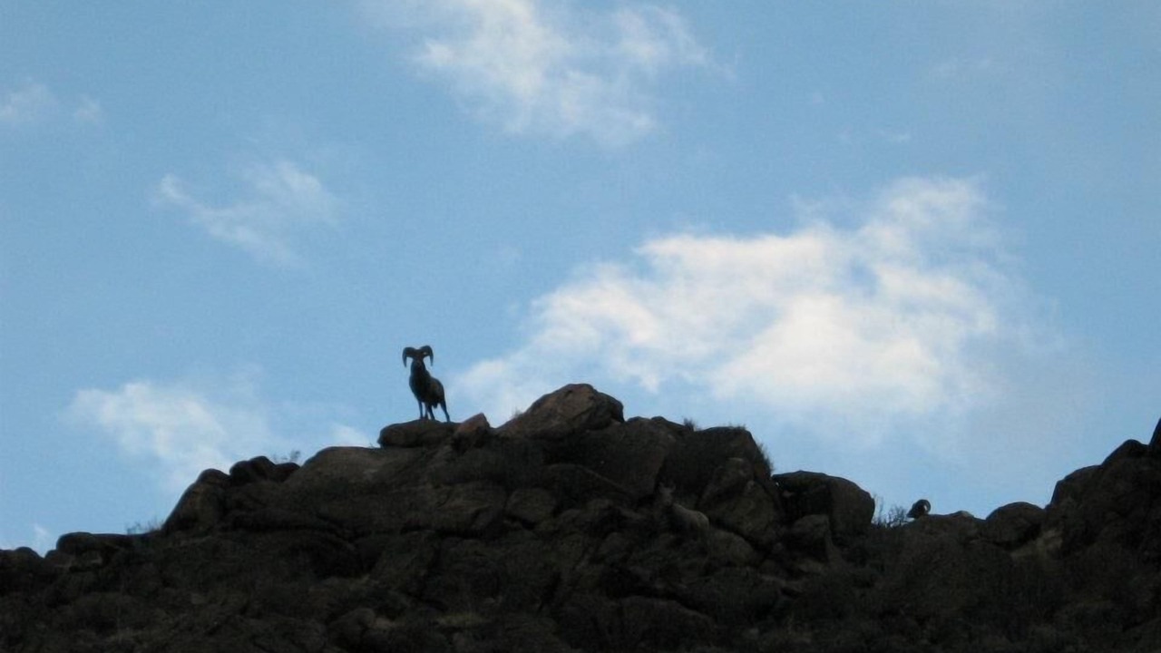 Photo of Others in Buena Vista