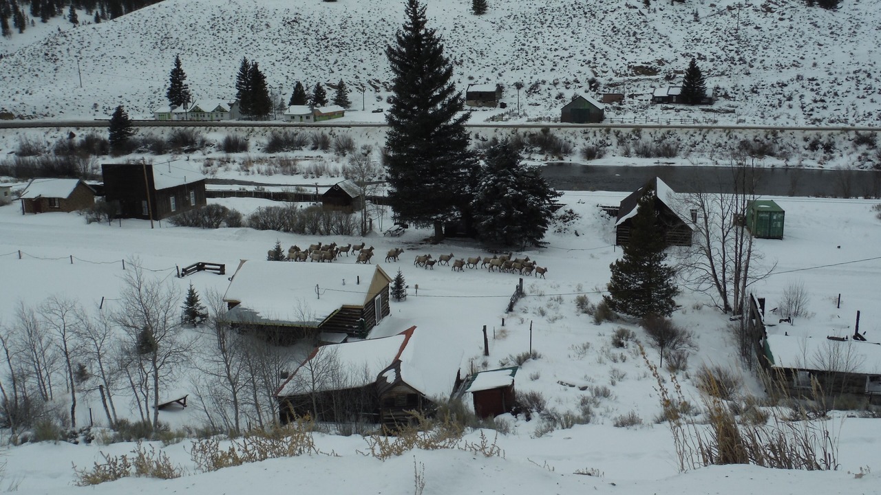 Photo of Others in Buena Vista