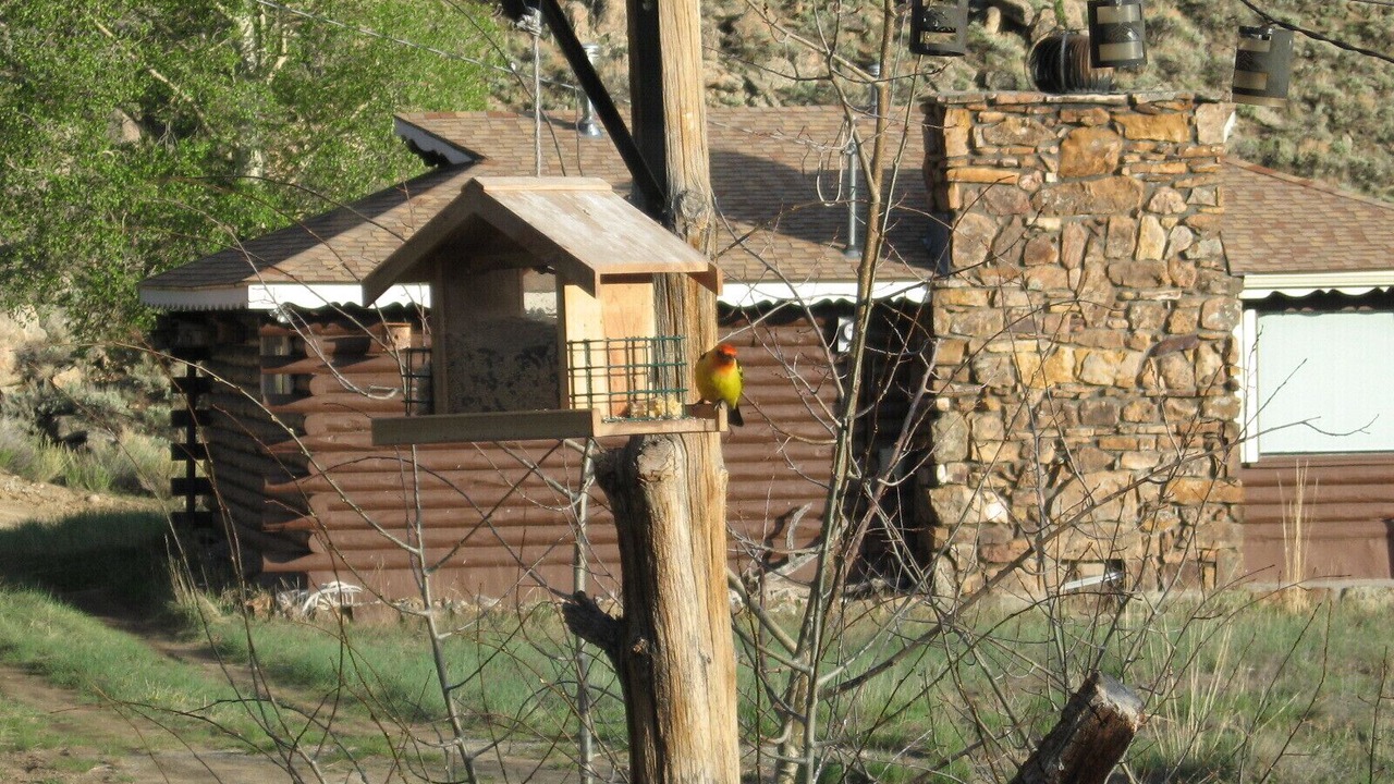 Photo of Others in Buena Vista