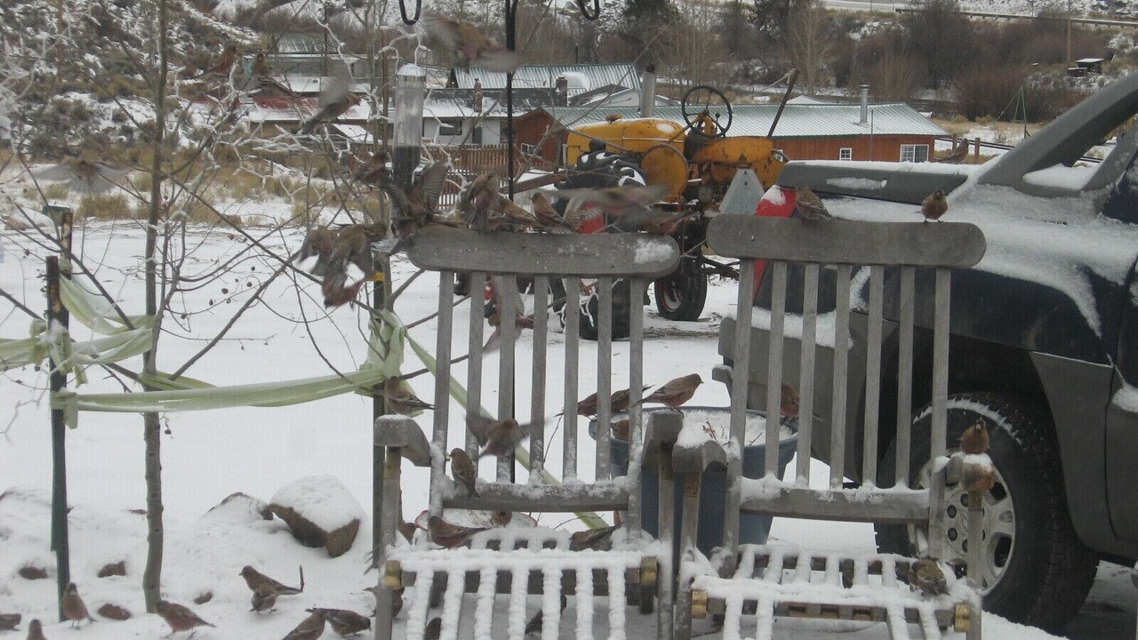 Photo of Others in Buena Vista