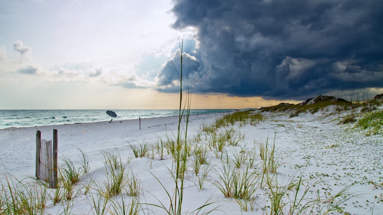 Photo of Others in Fort Walton Beach