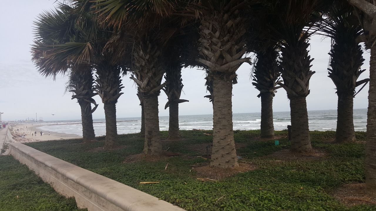 Photo of Others in Galveston