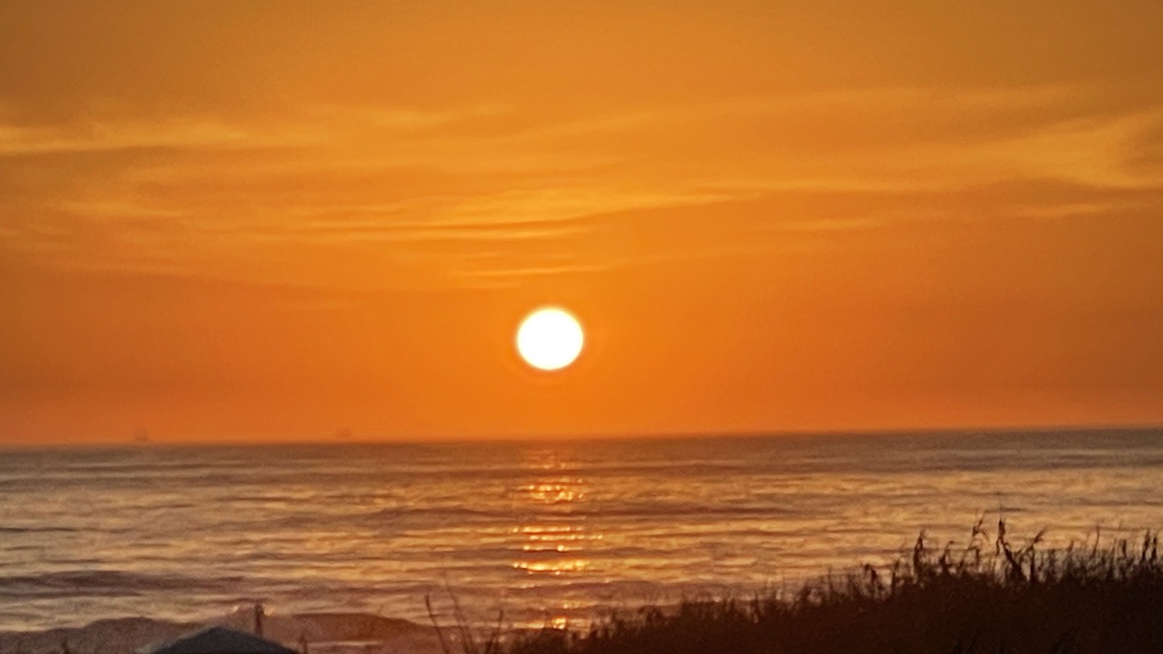 Photo of Others in South Padre Island