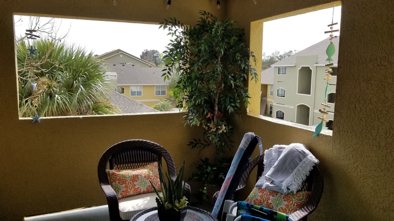 Photo of Outdoor in Clearwater