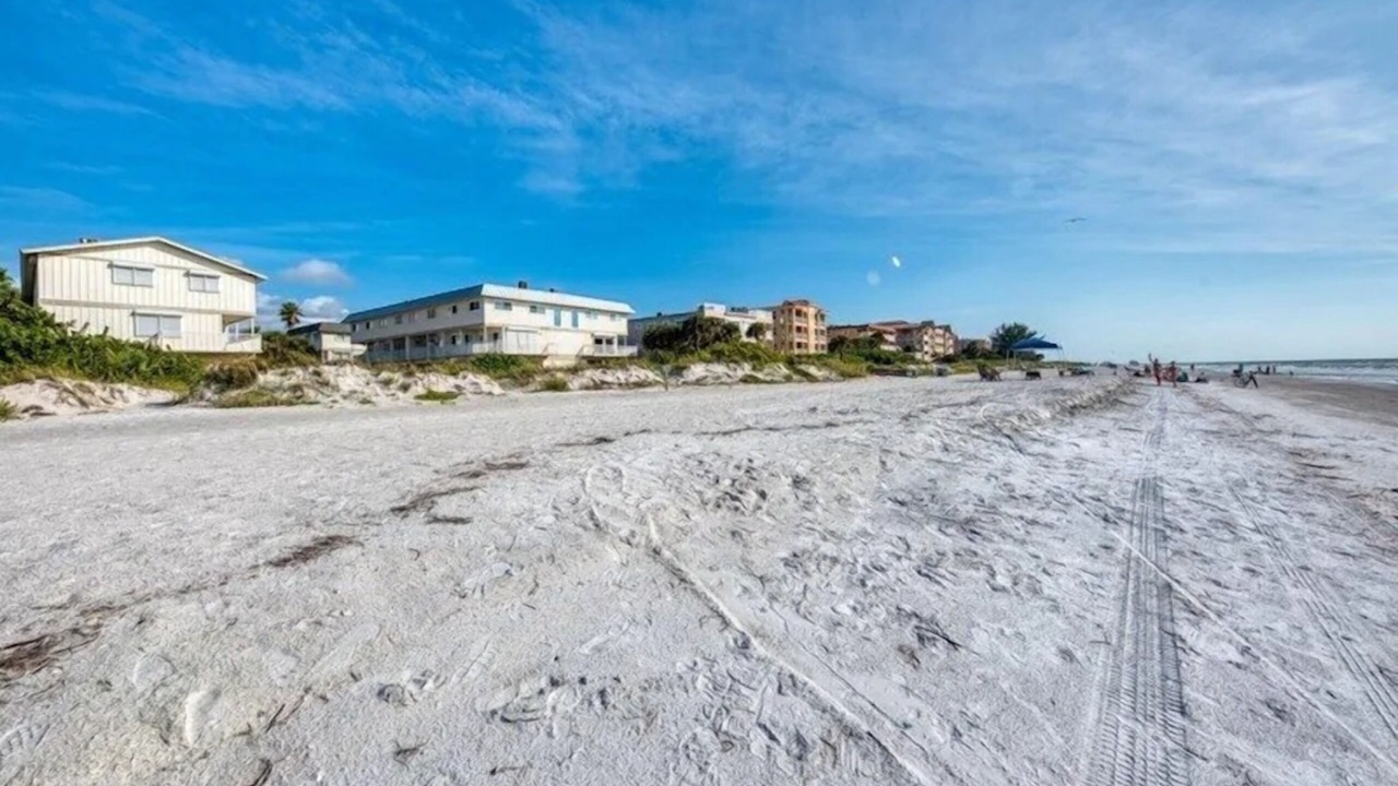 Photo of Others in Indian Rocks Beach