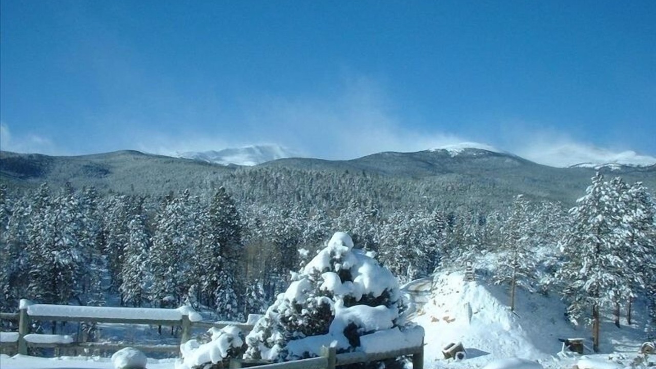 Photo of Others in Buena Vista