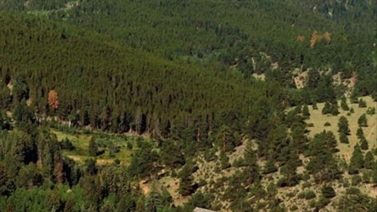 Photo of Others in Buena Vista