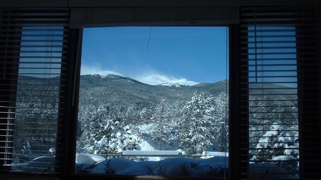 Photo of Others in Buena Vista