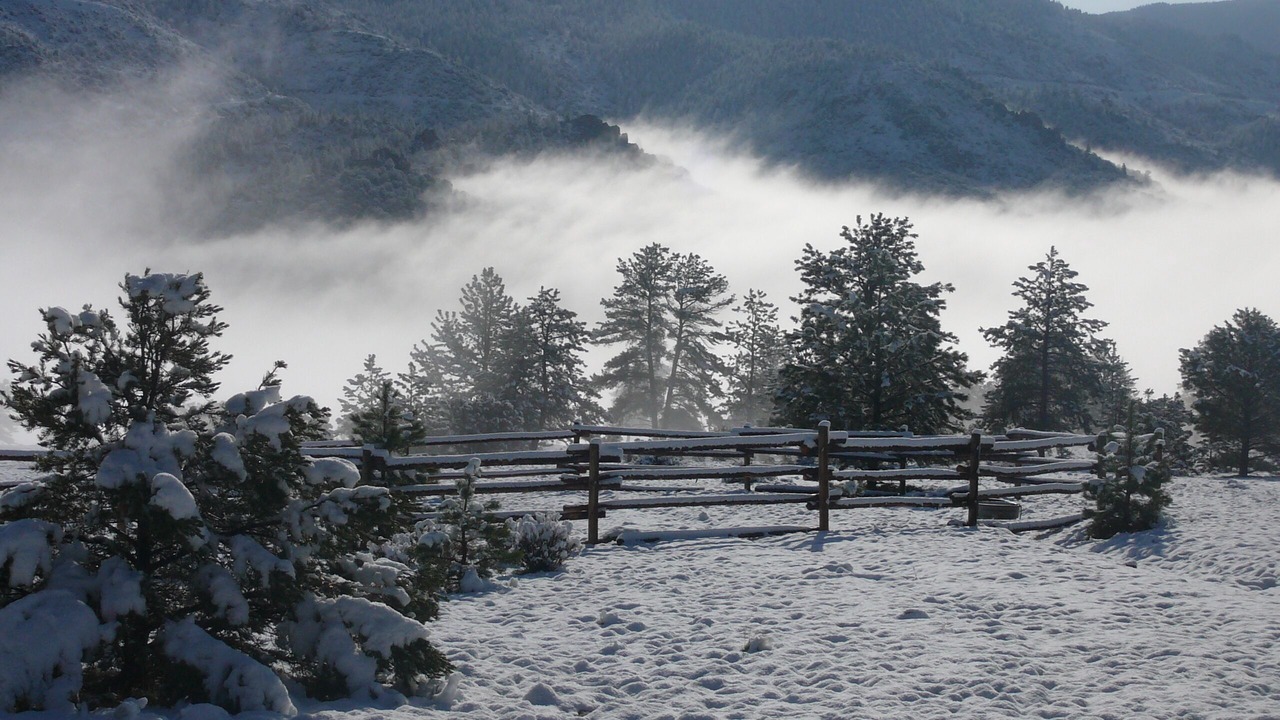 Photo of Others in Buena Vista